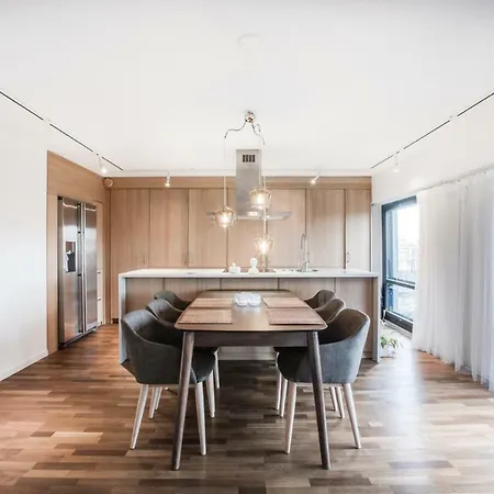 公寓 Homely - Executive 72m2 -sauna 赫尔辛基